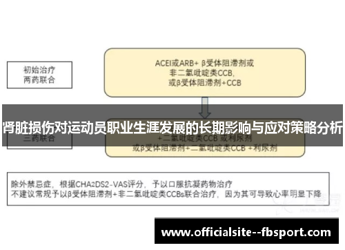 肾脏损伤对运动员职业生涯发展的长期影响与应对策略分析 肾脏损伤对运动员职业生涯发展的长期影响与应对策略分析