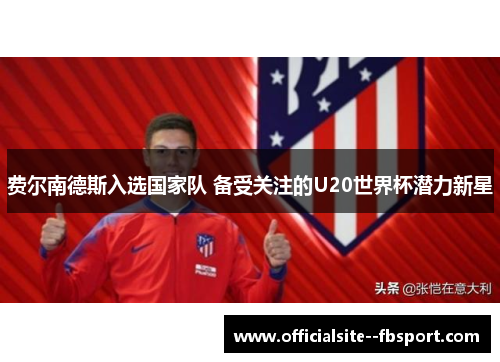 费尔南德斯入选国家队 备受关注的U20世界杯潜力新星